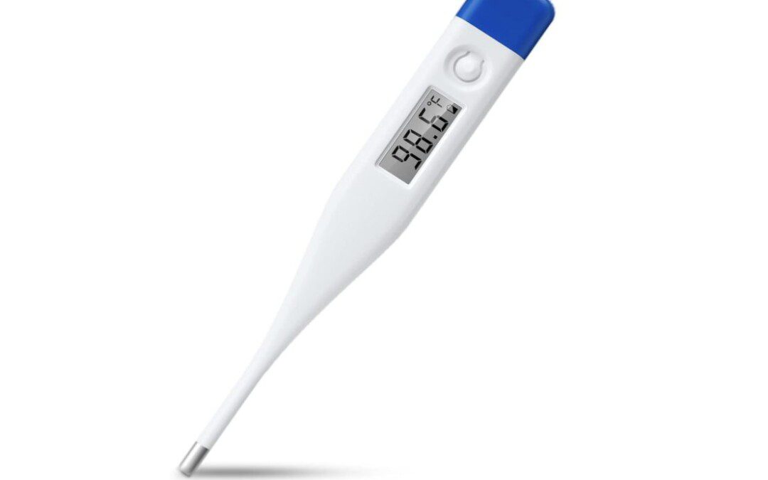 Digital Thermometer for Adults and Kids – Just $3.13 shipped!!